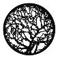 GAM:250-G251 -- G251 Spring Branches Steel Metal Gobo, Size: Specify