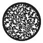GAM:250-G294 -- G294 Summer Leaves Steel Metal Gobo, Size: Specify