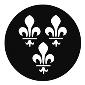 GAM:250-G729 -- G729 Fleur De Lis Steel Metal Gobo, Size: Specify
