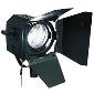 Fresnel 5inch 650w w/barndoors and color frame - no lamp - no plug