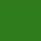Moss Green Gel Sheet 21