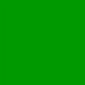 Fern Green Gel Sheet 21