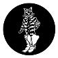 ROSCO:250-76600 -- 76600 Puss In Boots 2 Steel Metal Gobo, Size: Specify