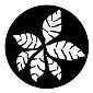 ROSCO:250-78427 -- 78427 Fronds Steel Metal Gobo By Don Guy, Size: Specify