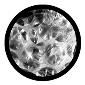 ROSCO:260-82202 -- 82202 Bubble Wrap Bw Glass Gobo By Dennis Size, Size: Specify