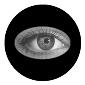 ROSCO:260-82204 -- 82204 Eyeball Bw Glass Gobo By Joel Reiff, Size: Specify
