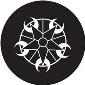 ROSCO:260-82803 -- 82803 Star Cycle Crop Circle Bw Glass Gobo, Size: Specify