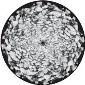 ROSCO:260-82836 -- 82836 Cloud Cover 2 Animation Wheel Bw Glass Gobo, Size: Specify