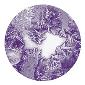 ROSCO:260-86634 -- 86634 Indigo Frosted 2 Color  Glass Gobo, Size: Specify