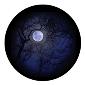 ROSCO:260-86710 -- 86710 Howling Moon Multi Color Glass Gobo By Lisa Cuscuna, Size: Specify