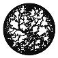 GAM:250-G517 -- G517 Twisting Branches Steel Metal Gobo, Size: Specify